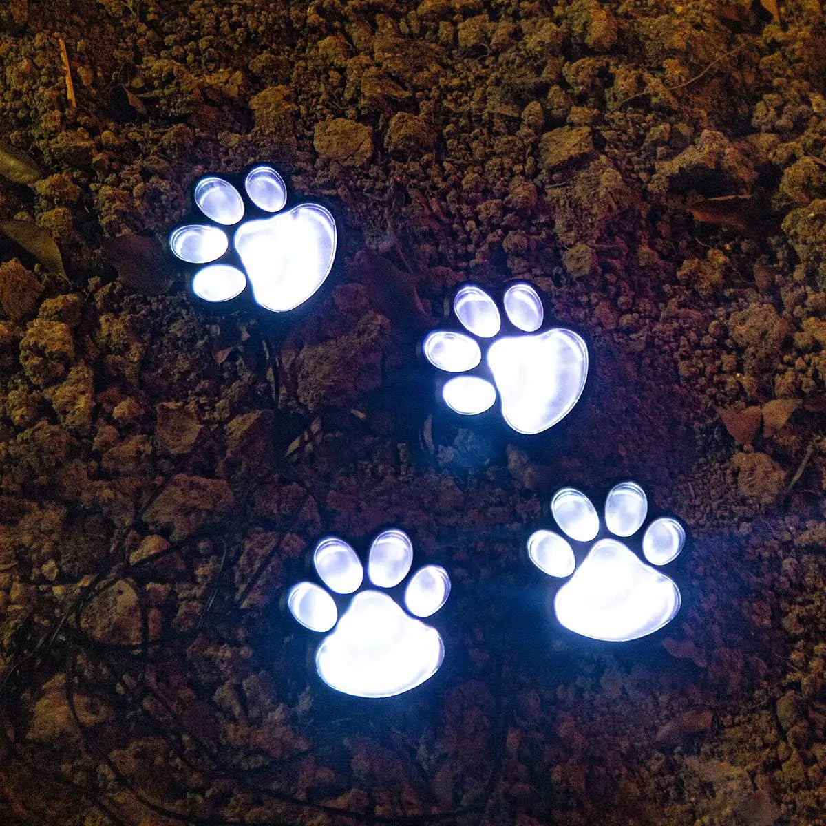 Paw Print Solar Lights - Nunis Essentials