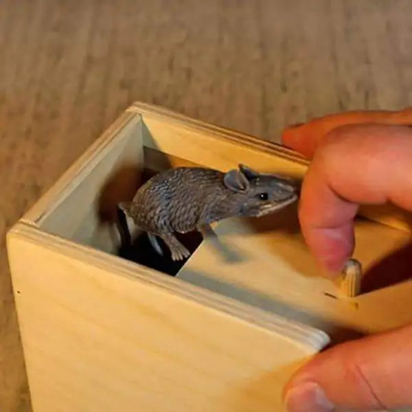 Prank Scare Box - Nunis Essentials