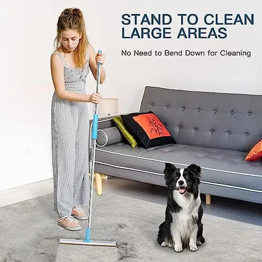 Carpet Rake Pet Hair Remover Set - Nunis Essentials